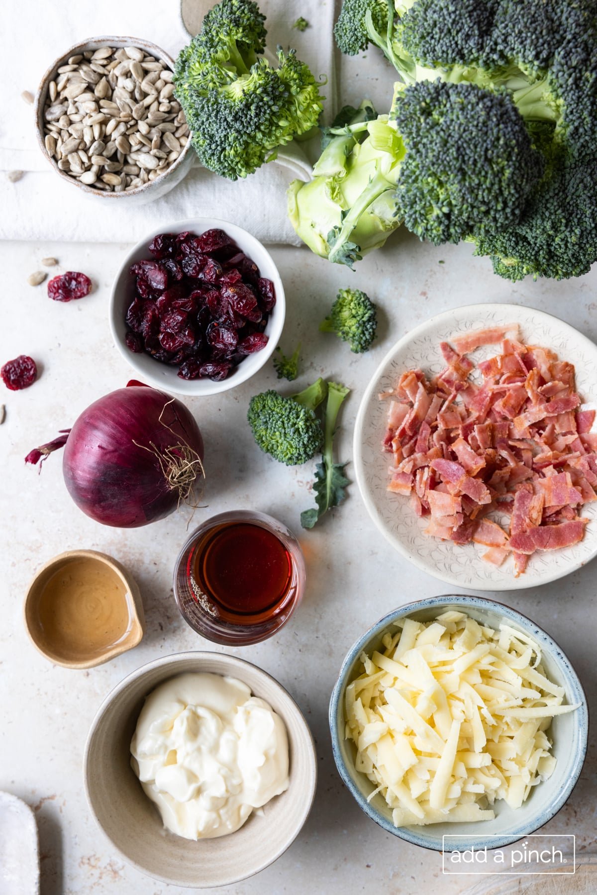Photo of ingredients used to make broccoli salad: broccoli, dried cranberries, onion, shredded cheese, mayo, sunflower seeds, bacon, maple syrup and apple cider vinegar.