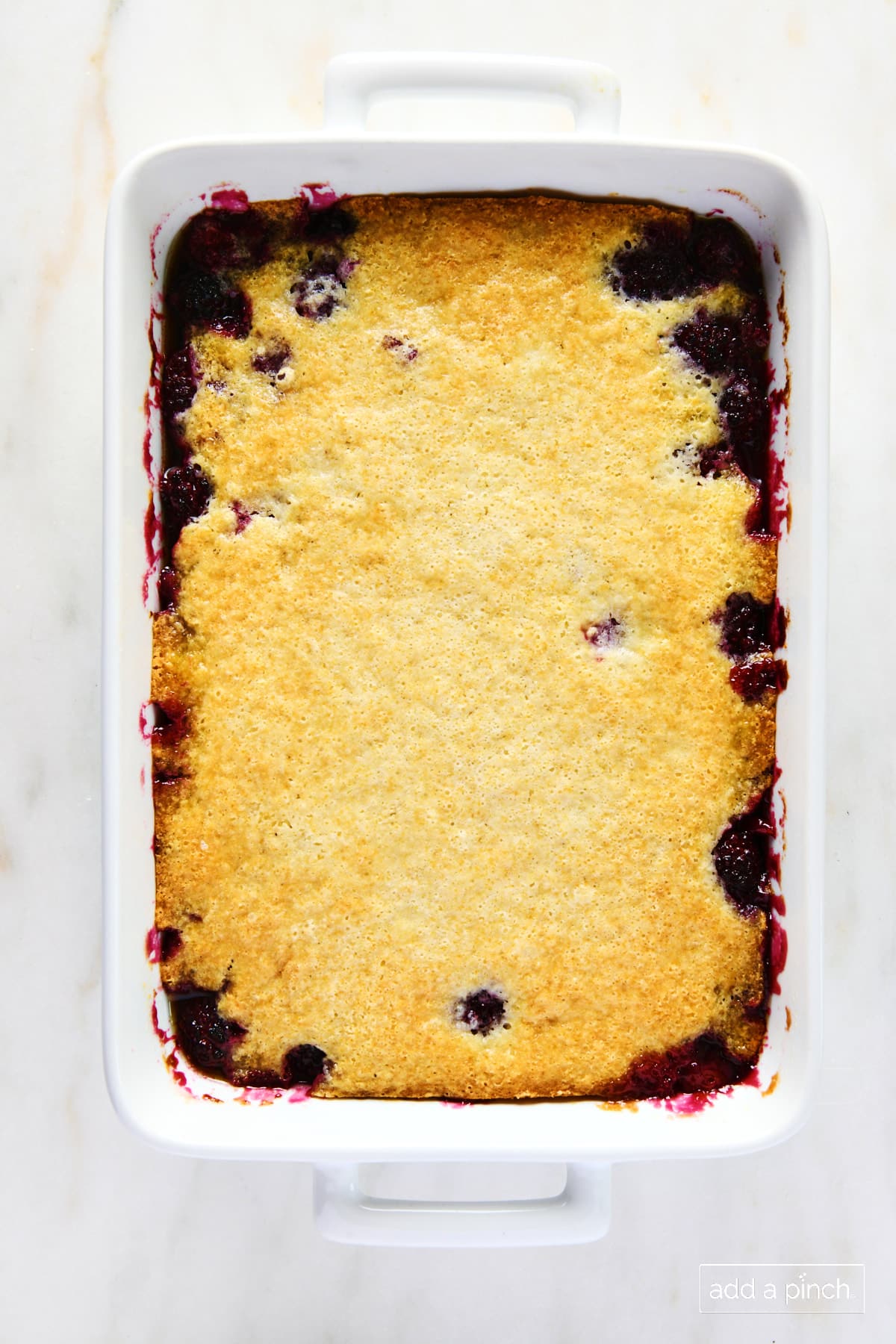 Baked blackberry cobbler in a white baking dish.
