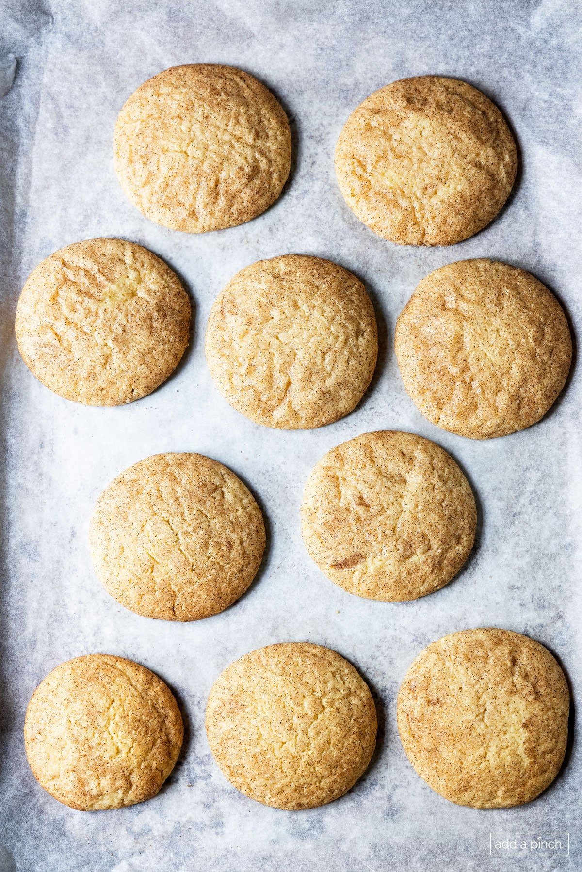 Photo of baked snickerdoodle cookies on a baking sheet.